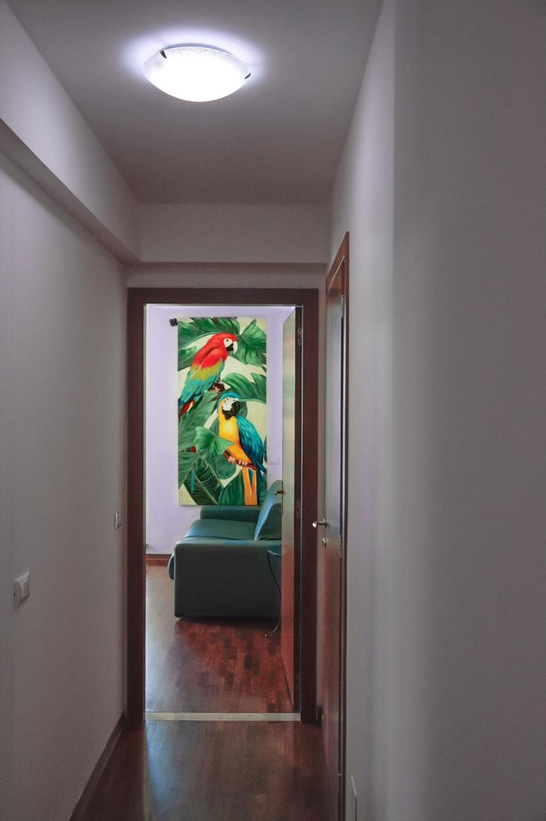Amanti Due Apartments Verona Exterior photo